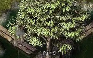 好sf网站 好sf网站